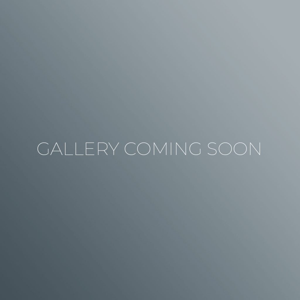 GALLERY COMING SOON